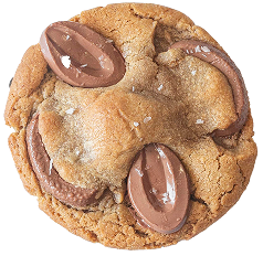 Cookie Box Bundle 1
